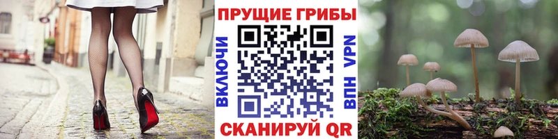 Галлюциногенные грибы ЛСД  Саянск 